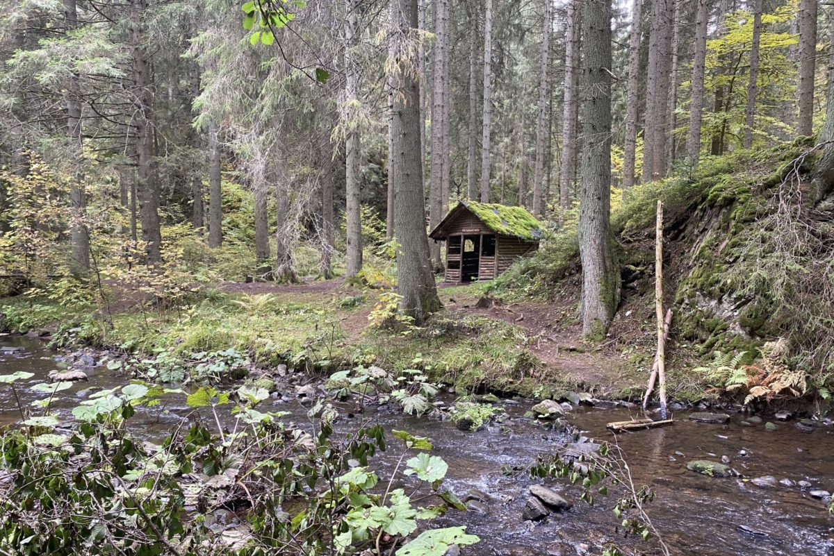 Rötenbachschlucht im Schwarzwald