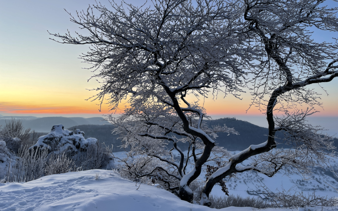 5 schönste Winterwanderungen Schwäbische Alb