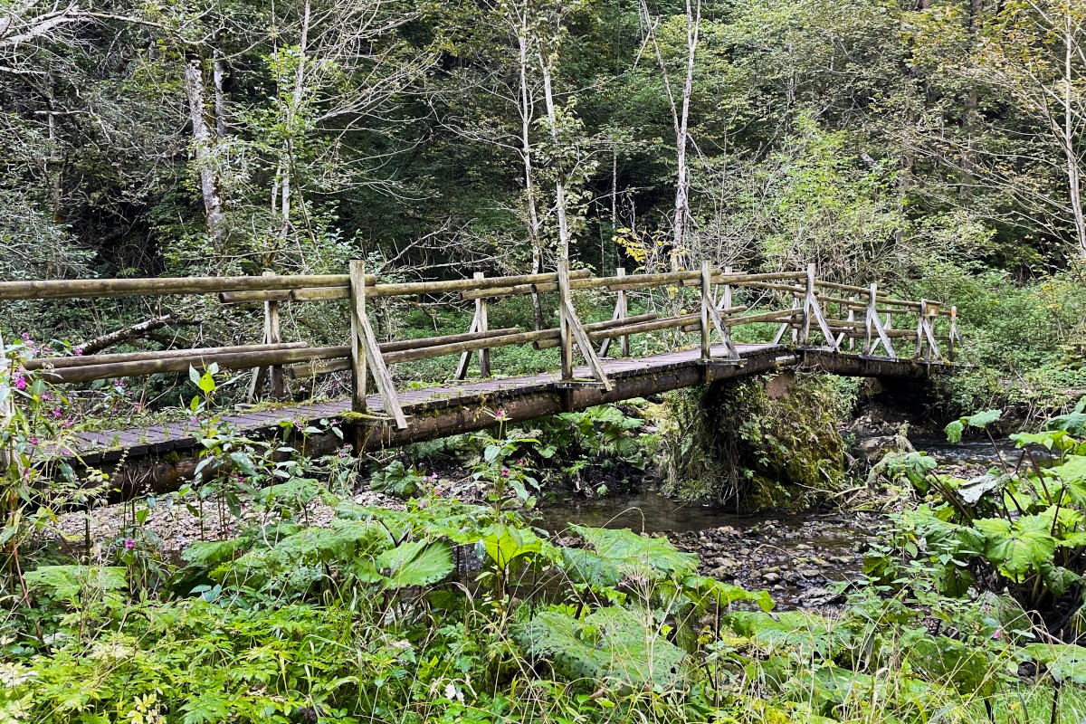 Gauchachschlucht Brücke