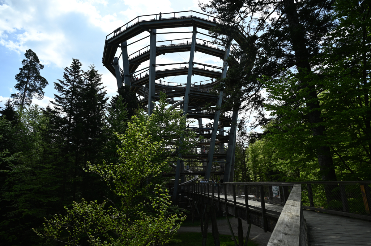Baumwipfelpfad_von vorne_DSC_0223